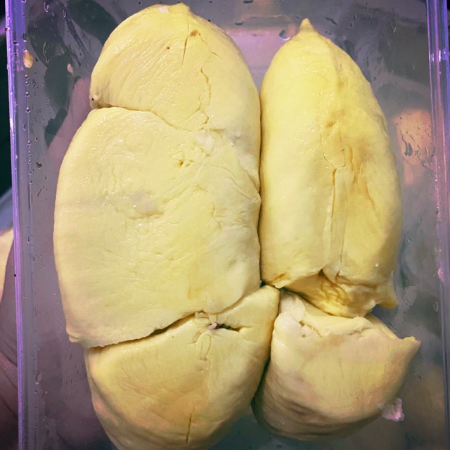 

Durian montong palu