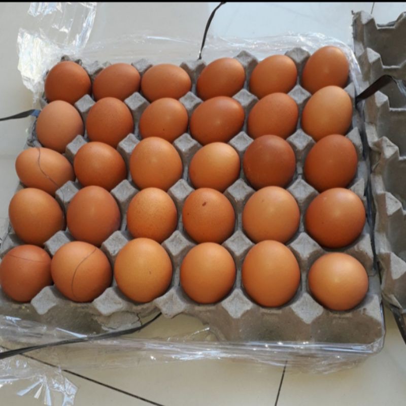 

jualtelur