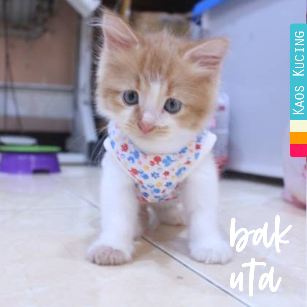 Baju simple model kaos katun lucu untuk kucing dan anjing / baju kucing murah size S-XL