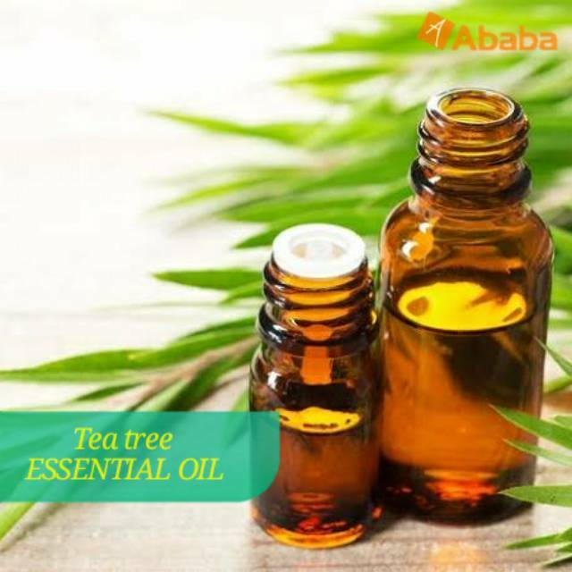 TEA TREE OIL MINYAK ESSENTIAL OIL TEA TREE