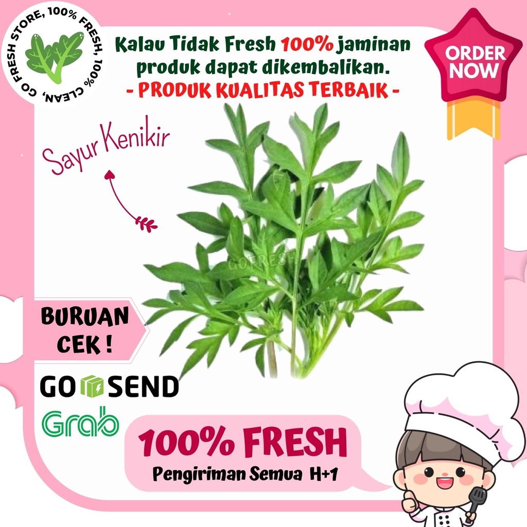 

SAYUR KENIKIR FRESH SEGAR MURAH 1 IKAT