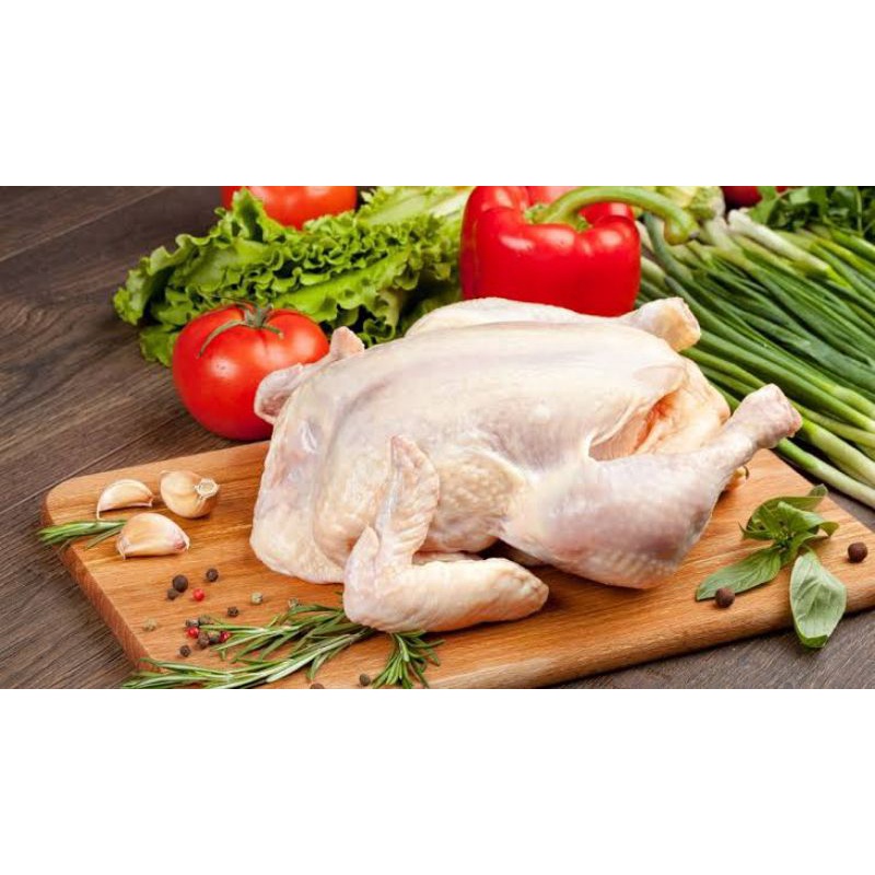 

Ayam Karkas Ukuran 900 Gram