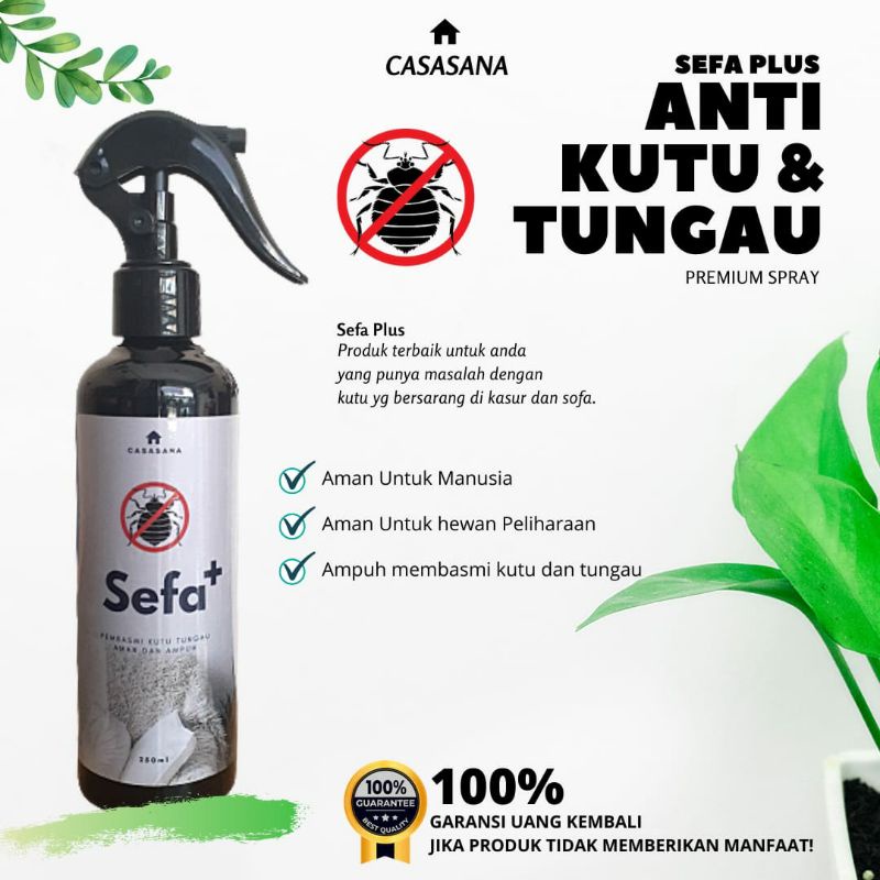 Obat Pembasmi Kutu Tungau Kasur dan Sofa Sefa Plus Spray Anti Kutu