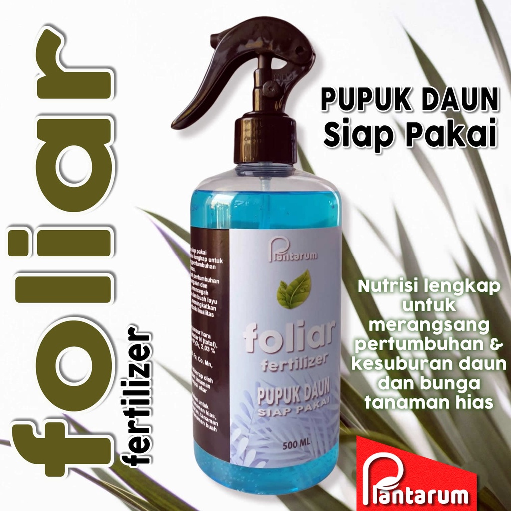 Foliar Fertilizer Pupuk Cair Siap Pakai Tanaman Hias Daun Aglonema