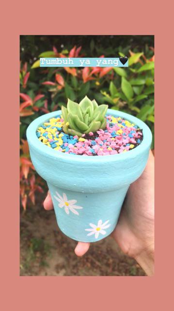 Pot Clay Daisy Medium Size (ptm-09)