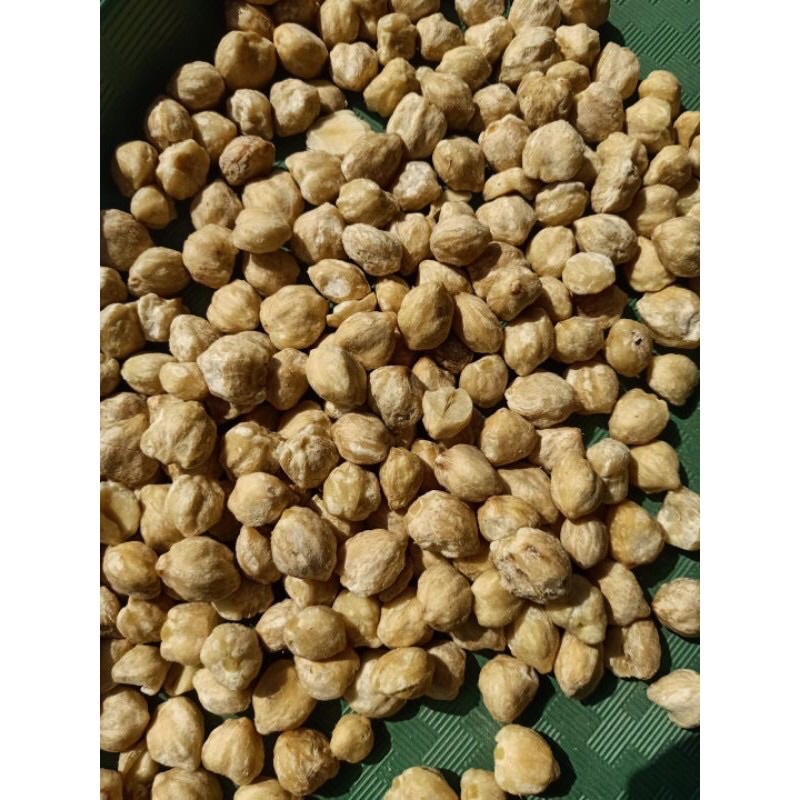 Kemiri Bulat Utuh asli Medan 500Gram 1/2 Kilogram Dijamin fresh GRADE AAA