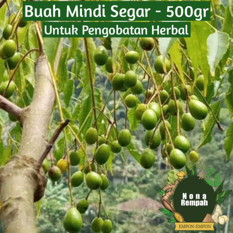 

Buah Mindi Segar 500 gram