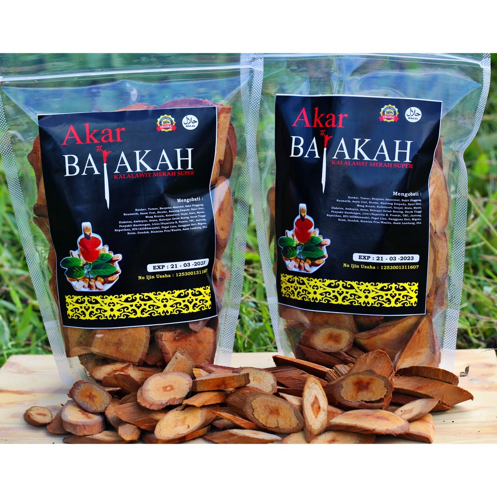 Minyak Urut Dayak ASLI KALIMANTAN + teh bajakh