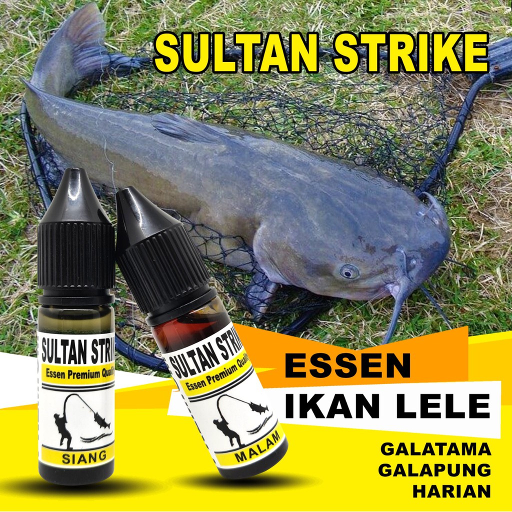 ESSEN IKAN LELE SULTAN STRIKE PAKET SIANG MALAM UMPAN PANCING LOMBA MEMANCING GALATAMA DAN GALAPUNG
