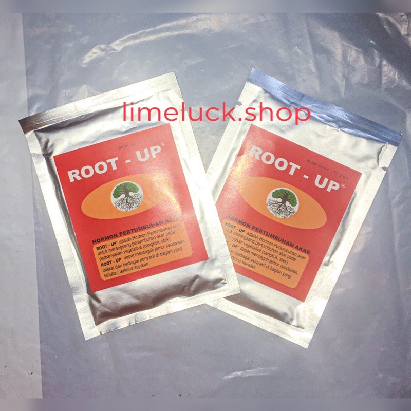 Root Up sachet hormon pertumbuhan akar 10gr