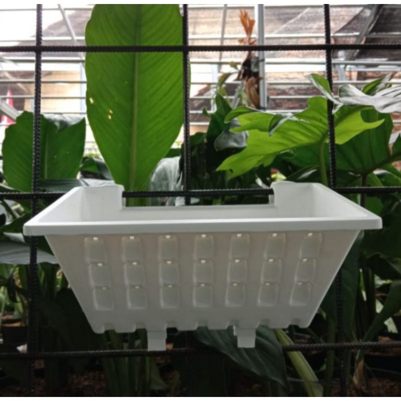 Pot Argo 02, pot dinding, pot tempel, panjang 25 cm, tanaman merambat