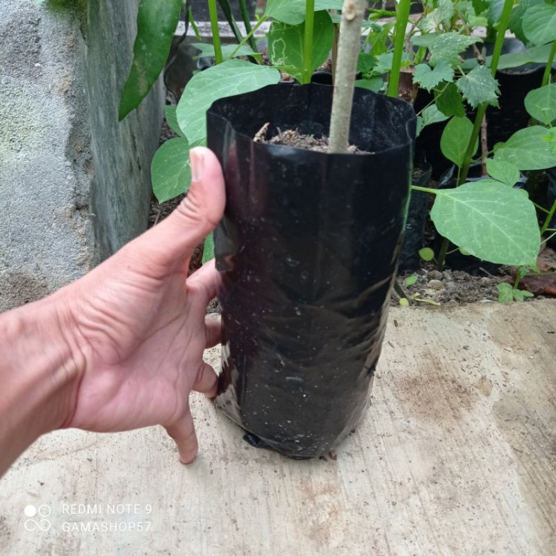 Polybag Nagamas 7.5/15 x 25 Tebal