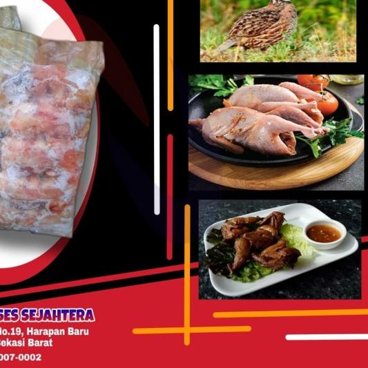 

✰ BURUNG PUYUH MALOND (160-180 GR) ISI 10 EKOR ➩