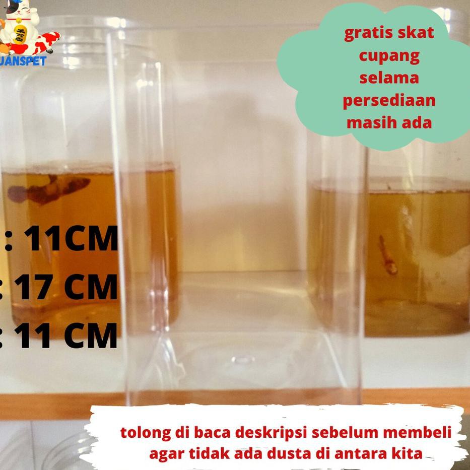 『BT』 PROMO COD TERMURAH SE SHOPEE RAYA SOLITER ACRYLIC AQUARIUM IKAN CUPANG BAHAN PREMIUM PAXTON