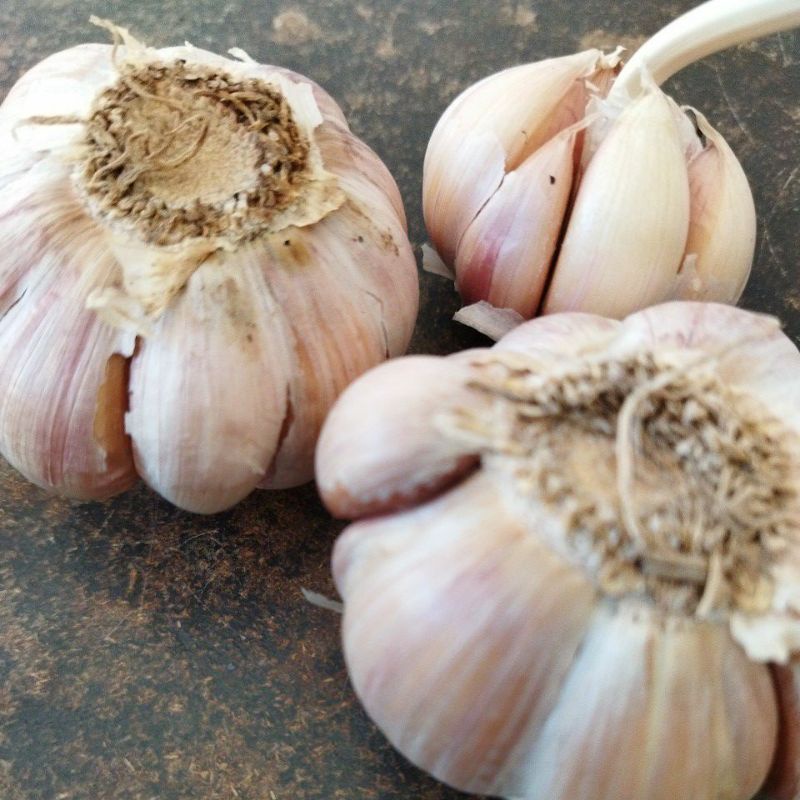 

Bawang putih per 100gr