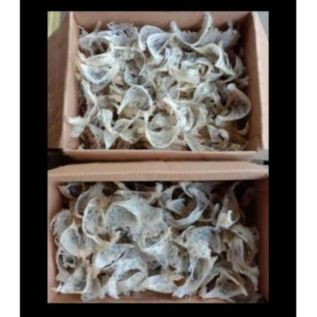 Sarang Walet Mangkok