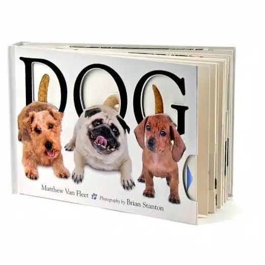 Dog - Matthew Van Fleet