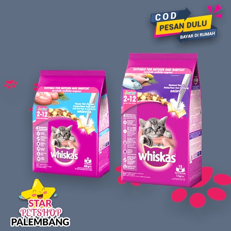 Whiskas Junior Kemasan 1.1kg Freshpack Pabrik