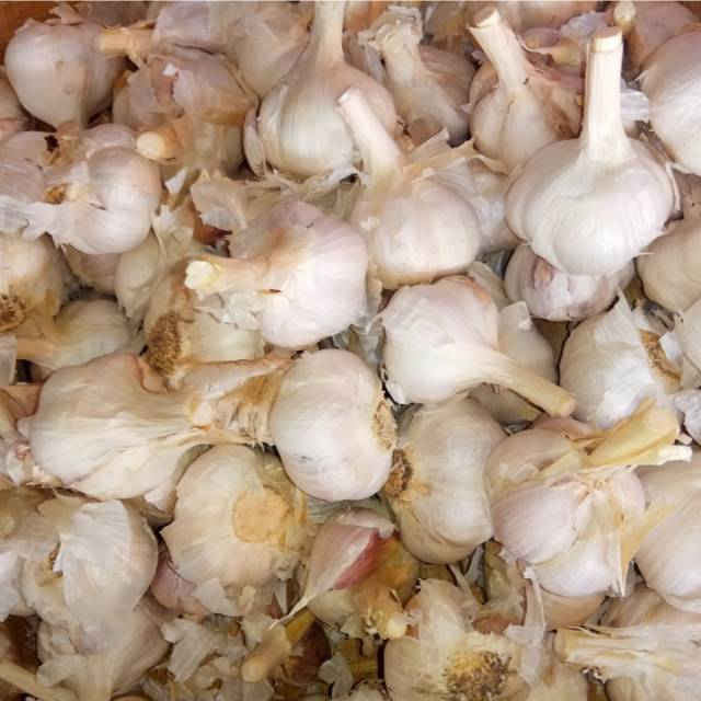 Bawang Putih Kating Kotor 1KG