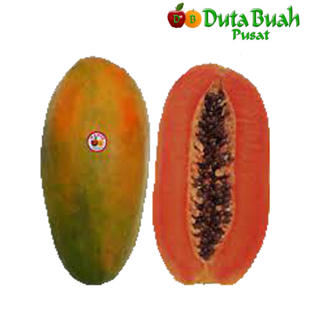 

DUTA BUAH PEPAYA CALIFORNIA JUMBO (1KG-1.5KG/buah)