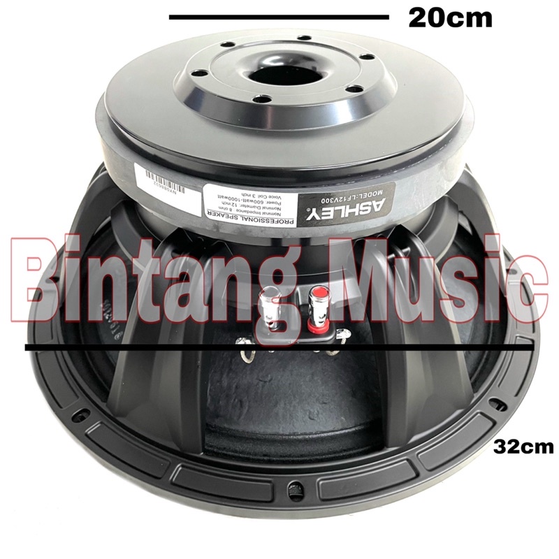 Speaker Ashley LF12V300 Original komponen ashley lf12v300