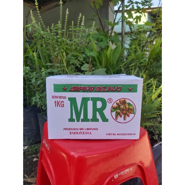 EMPING MELINJO MR 1 KARTON (NINA)