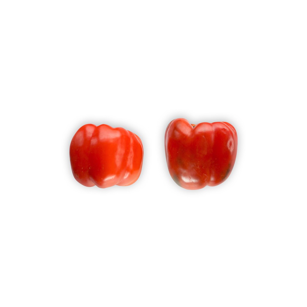 

SAYUR ORGANIK Paprika Merah