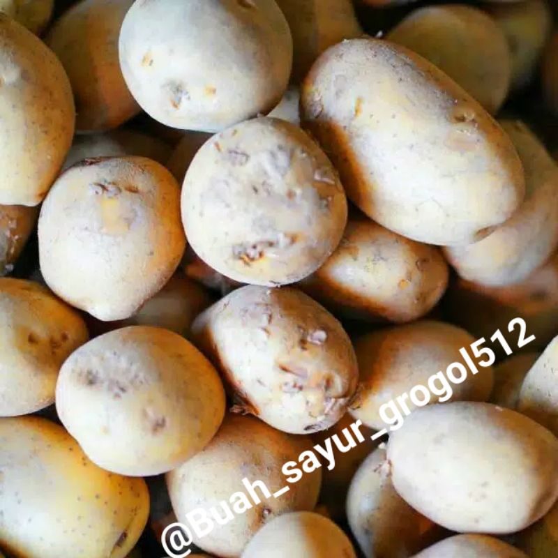 

Kentang sayur / kentang dieng _ 500gr