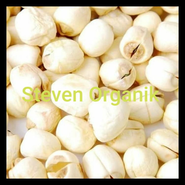 

NEW! BIJI TERATAI 500 GR / WHITE LOTUS SEED / LIANCI / LIANZHI MURAH