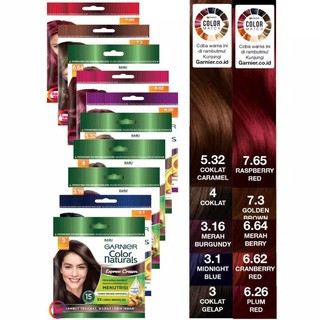 Garnier Colour Natural Hair Sachet | Shopee Indonesia