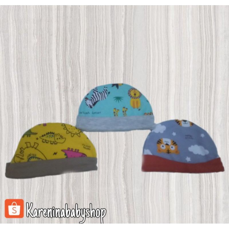 Topi Velvet Junior motif Zootopia 12.750 per pcs