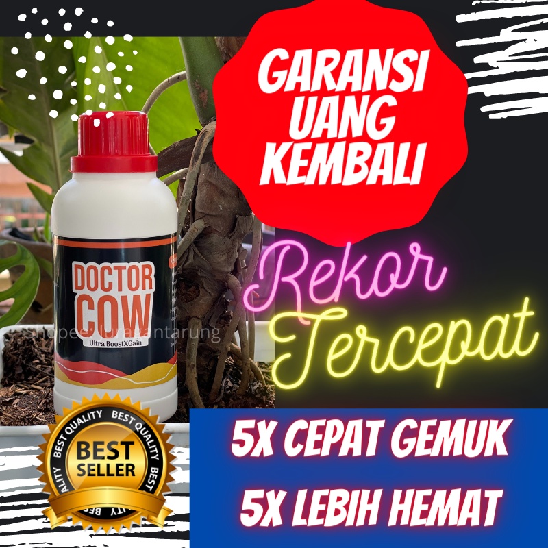 Obat Penambah Nafsu Makan Sapi Potong, Vitamin Penambah Nafsu Makan Sapi, Suplemen Penambah Nafsu ma