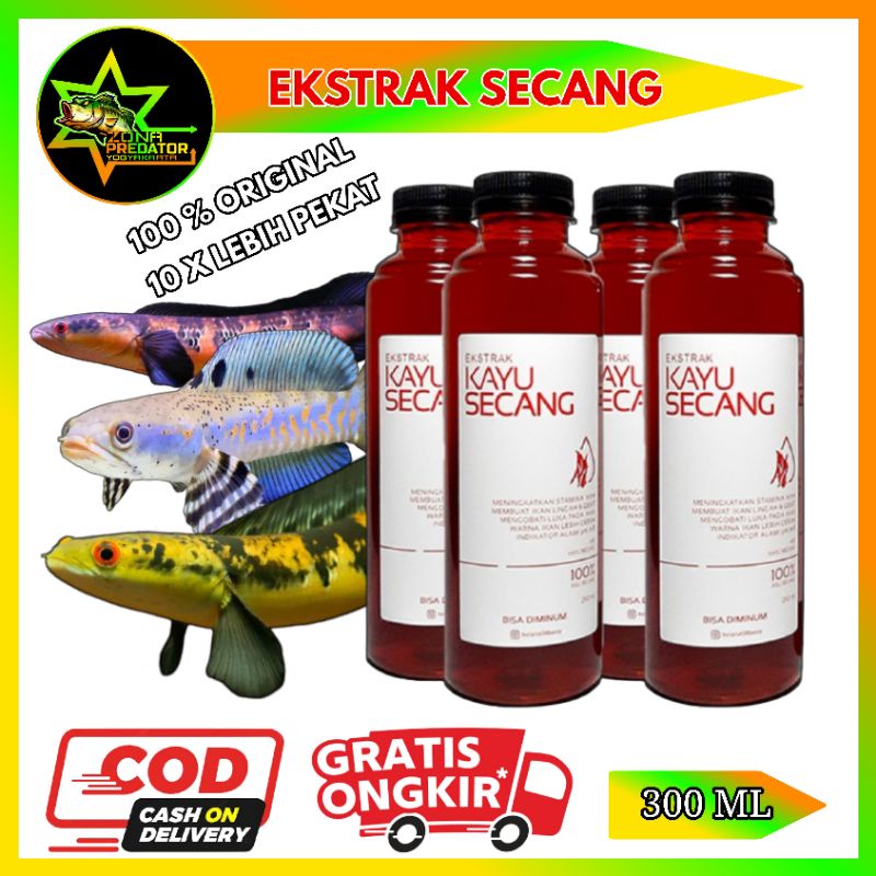 Ekstrak Secang Pekat 300ml Original