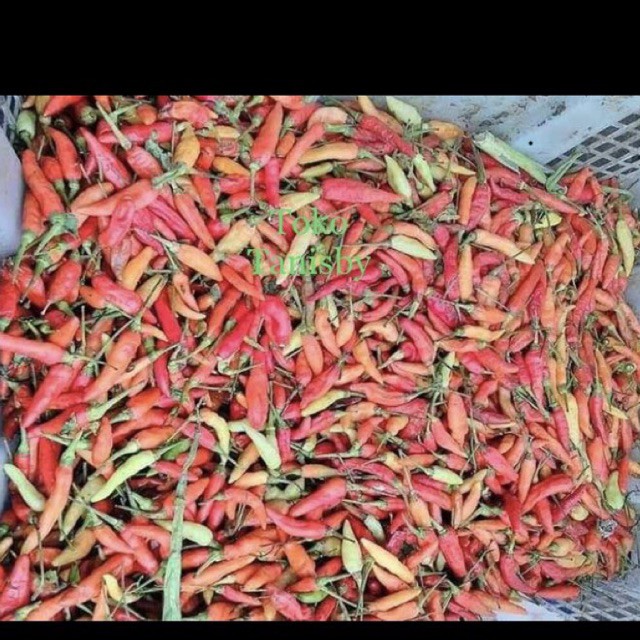 

Cabe rawit bagus cerah 250 gram