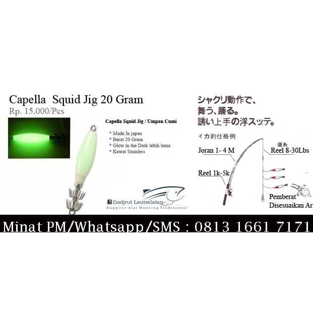 Hot Capella Jig / Umpan Cumi / Squid Jig