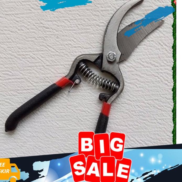 

Gunting Potong Ranting Bonsai 8 Inch Pohon Ranting Pro Forged Prunner 0708 Gunting Dahan ~
