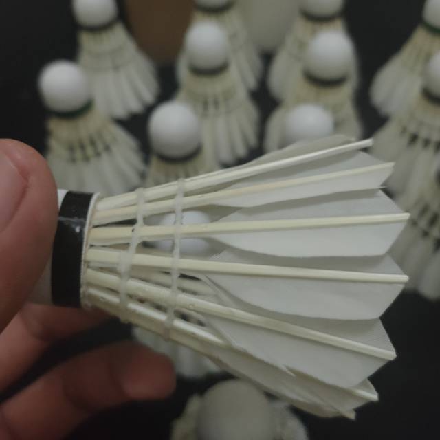 Shuttlecock Badminton (COD) Bekas Flaypower, Jp , Cobra (90% Bagus)