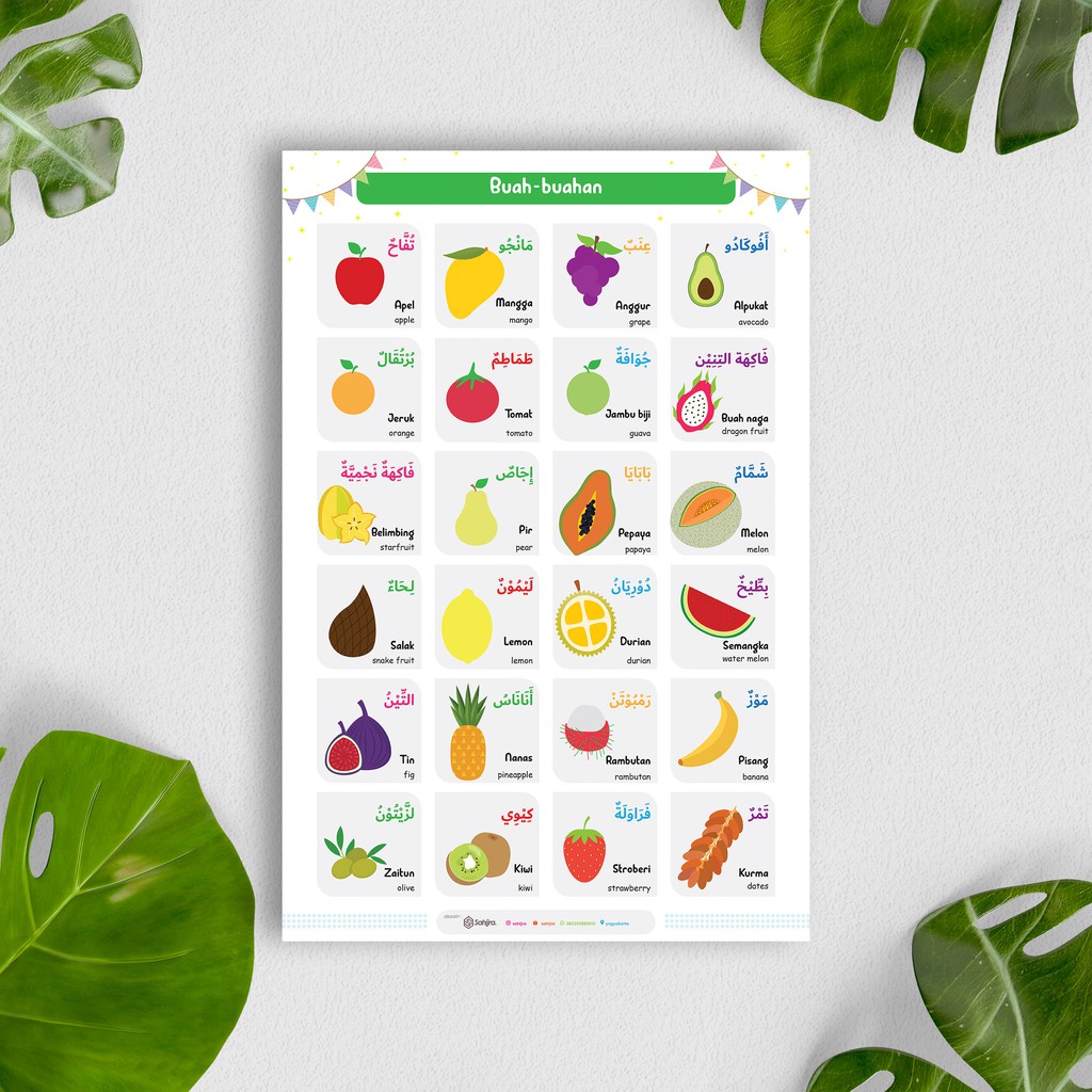 Poster Belajar Anak Mainan Edukasi Anak Seri Buah Buahan 3 Bahasa SAHIJRA