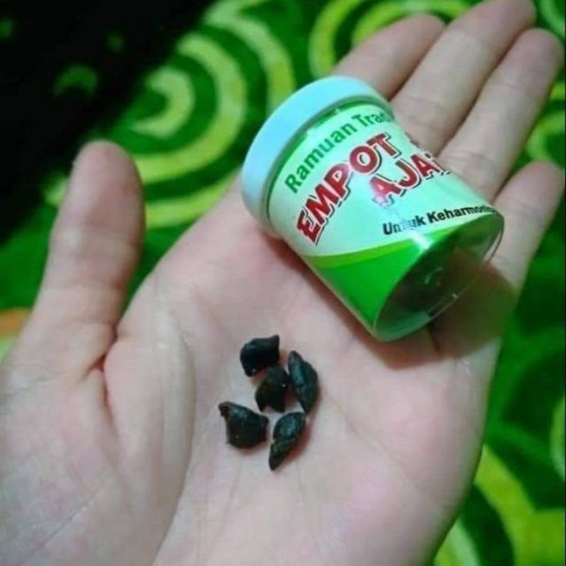 ☀️ YAMSHOP88 ☀️ Mpot Ayam Mimi Ajaib Menggigit Berdenyut || Empot Ayam Herbal Ajaib Makassar