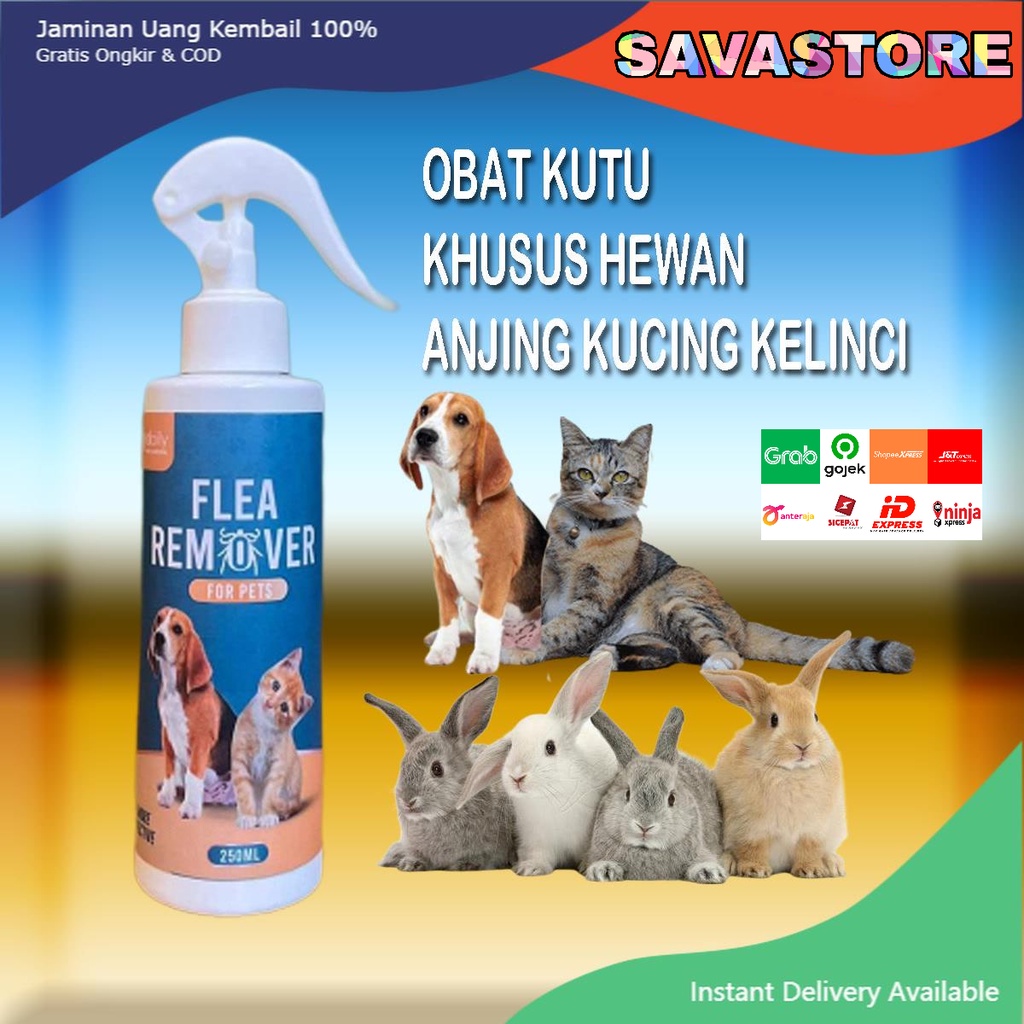 OBAT KUTU KUCING ANJING KELINCI AMPUH !!! DAILY FLEA REMOVER BAHAN ALAMI 100% &amp; ORGANIK