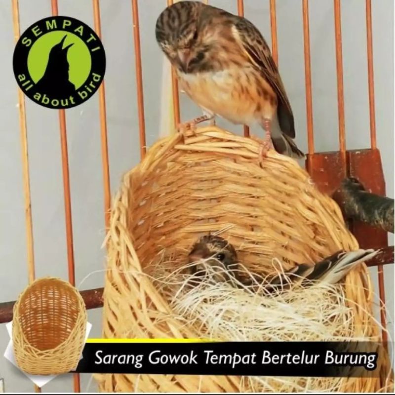 promo bulan ini sarang rotan asli tempat bertelur burung kenari Lovebird frich perkutut blackthoot s