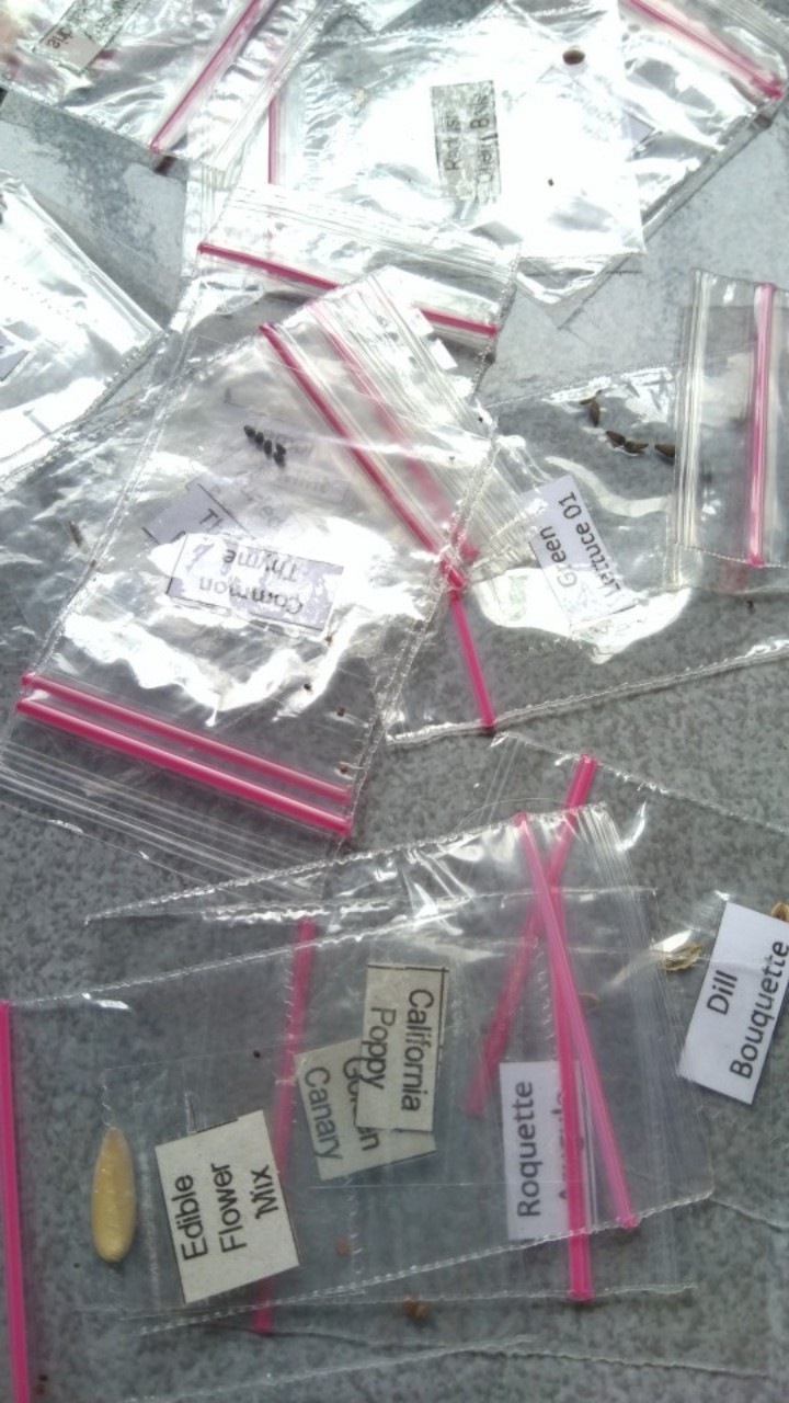 Um2/2 - Benih Biji Bibit Unggul Kemasan Seribuan Ecer Repack Wortel Mini Parisian Carrot Haira Seed