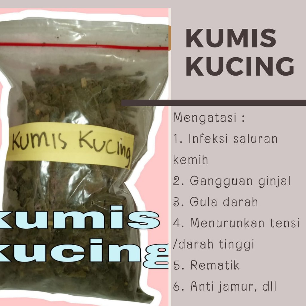 Kumis Kucing