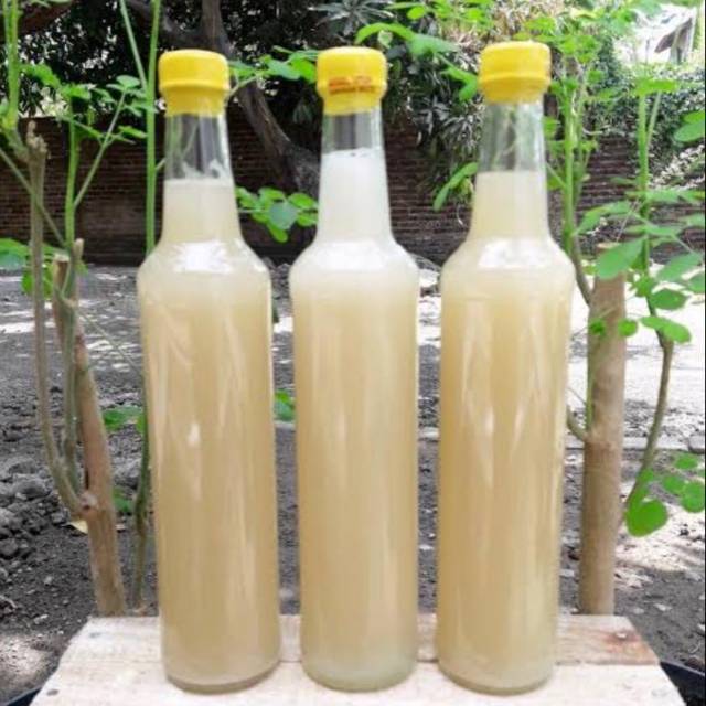 

Madu putih Sumbawa