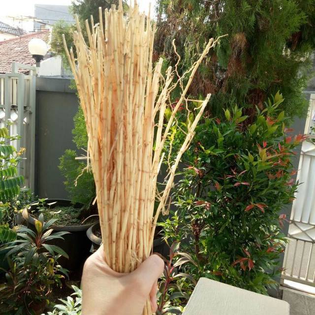 

Akar Alang Alang bersih 500gram