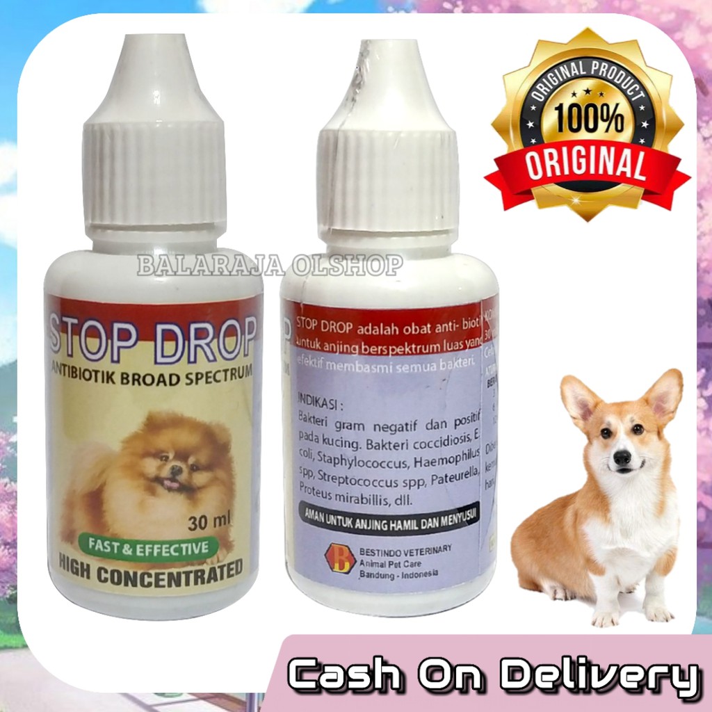 Antibiotik Anjing Puppy Obat Sakit Deman Flu Pilek Diare Pencernaan Perut Ngorok Stop Drop Dog 30ML