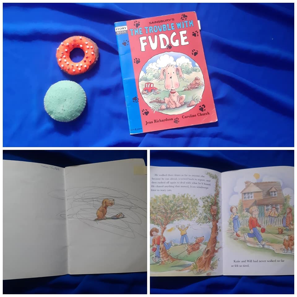 The Trouble with Fudge Story book Bahasa Inggris buku anak bekas second preloved