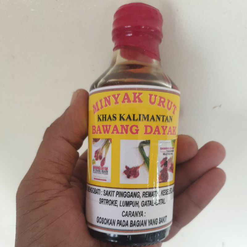 Minyak Urut  ASLI BAWANG  DAYAK  MINYAK  BAWANG DAYAK mengobati   Sakit pinggang Rematik Keseleo  As