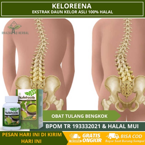 Obat Tulang Belakang Bengkok Dan Bergeser, Tulang Belakang Melengkung, Tulang Punggung Bengkok, Obat