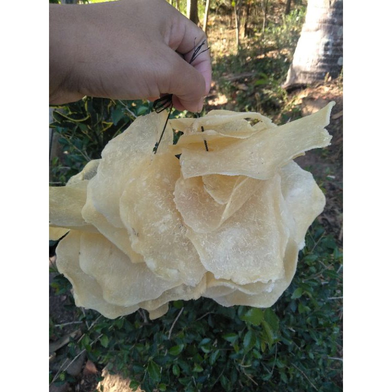 

opak / lempeng gethuk wonogiri